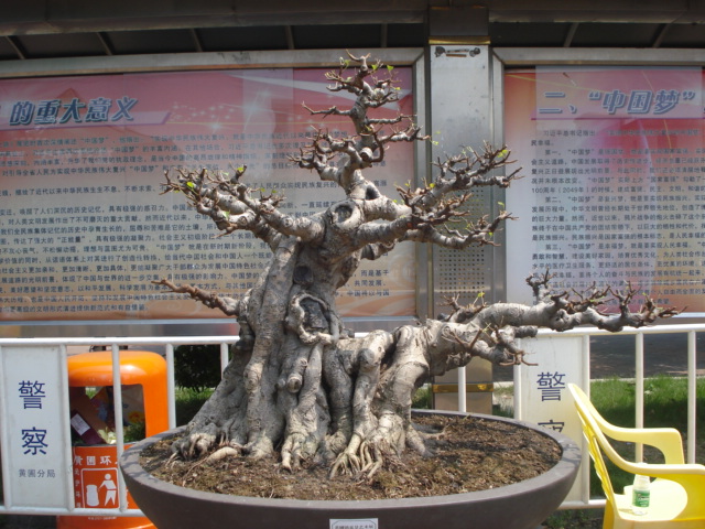 DSC01212.JPG