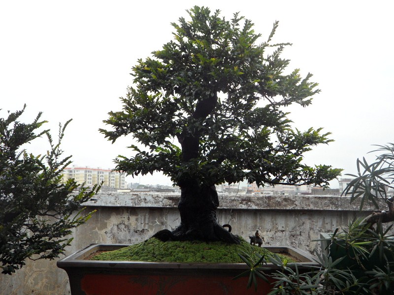 psb (8).jpg