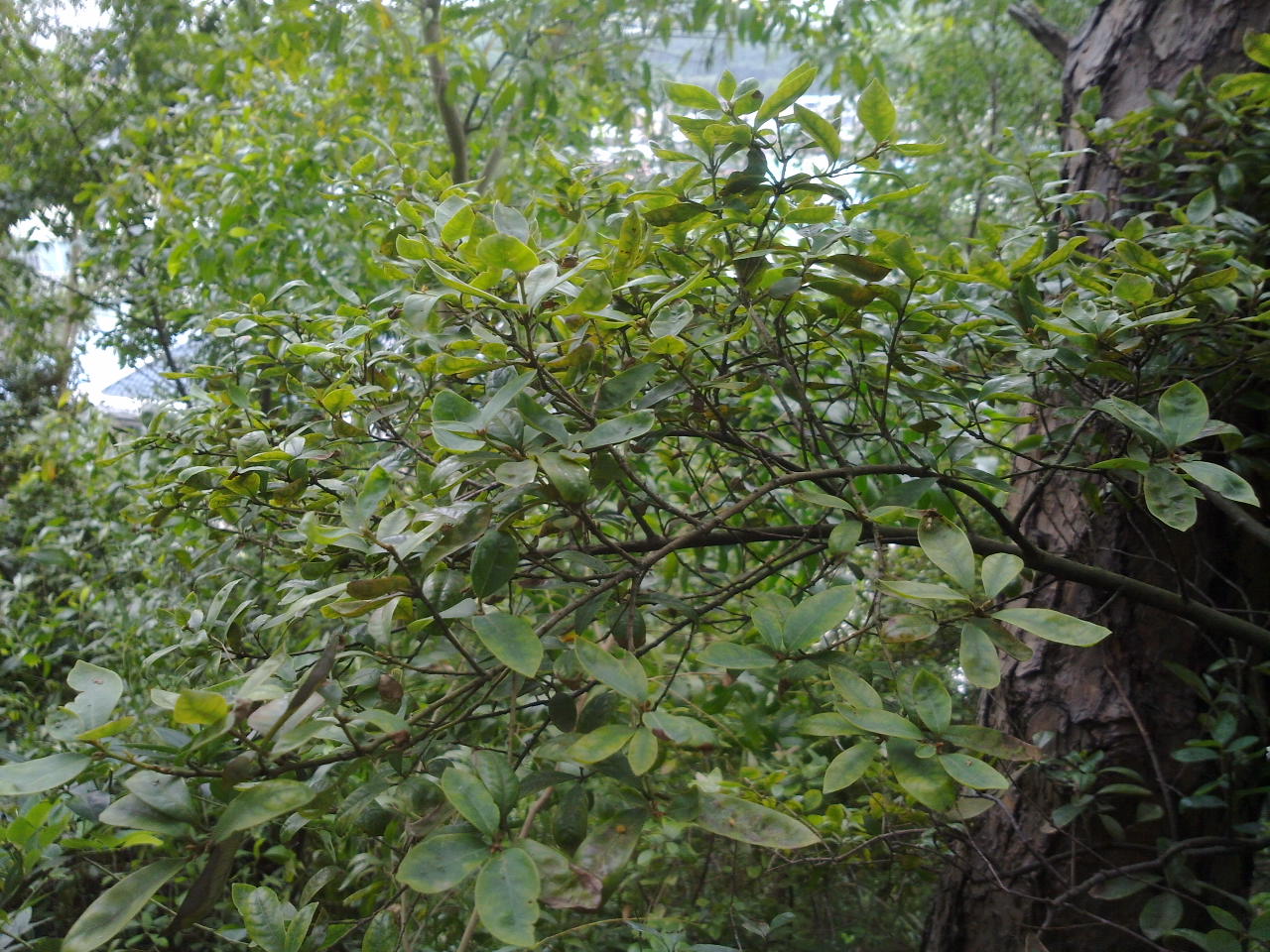 201309281048.jpg