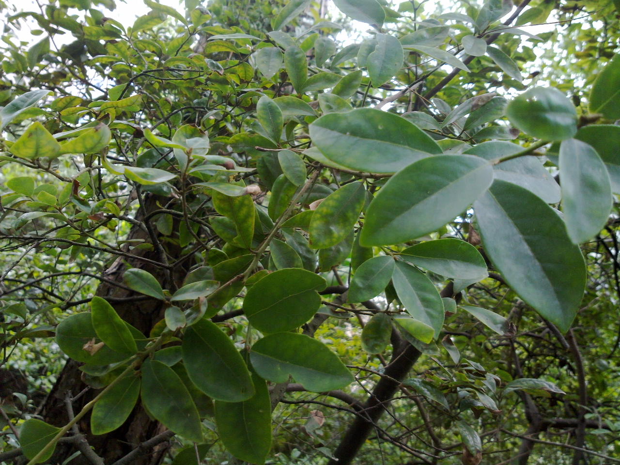 201309281044.jpg