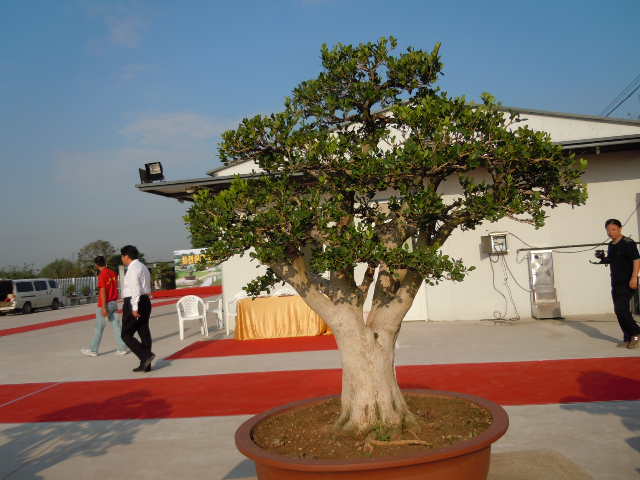 SSCN1853.JPG