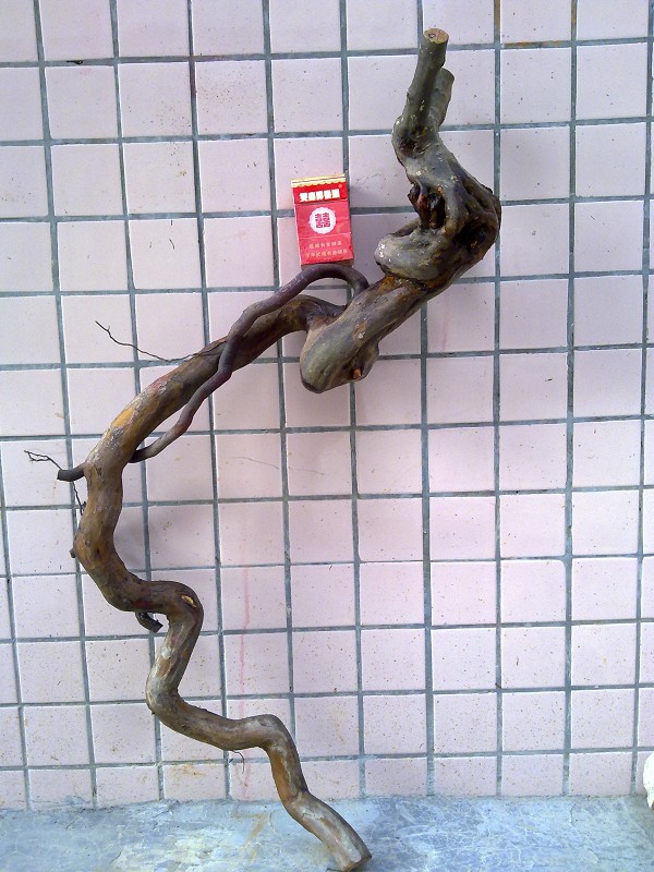 Ƭ389.jpg