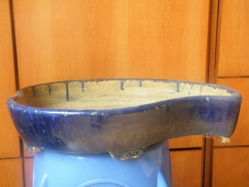 DSCF1716a.JPG