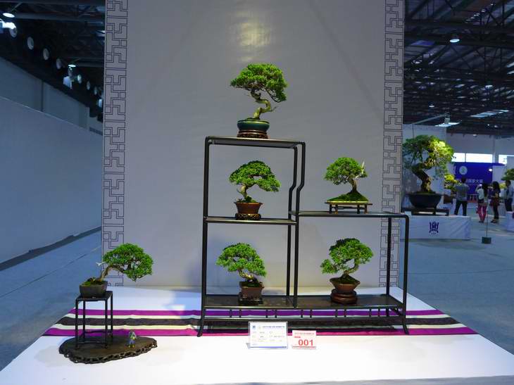 P1050155.JPG