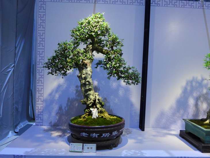 P1050228.JPG