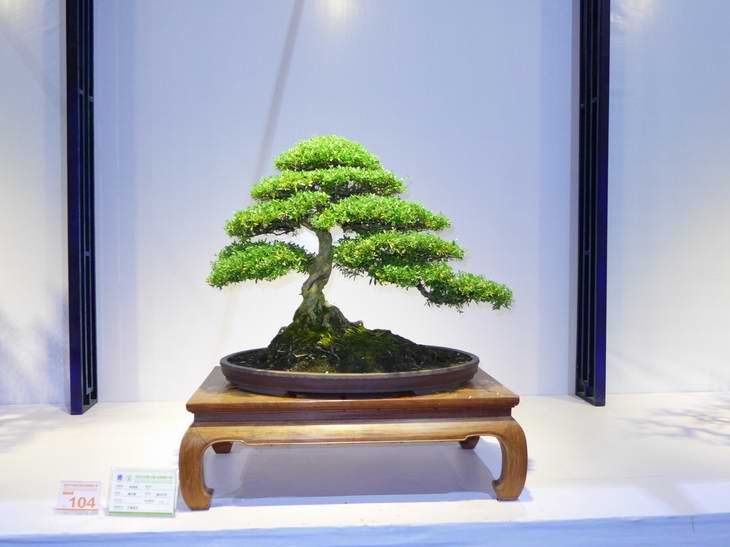P1050232.JPG