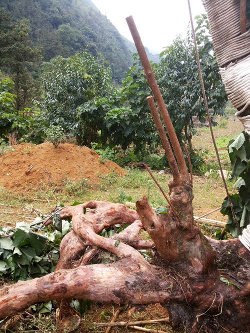 20131003_145604.jpg