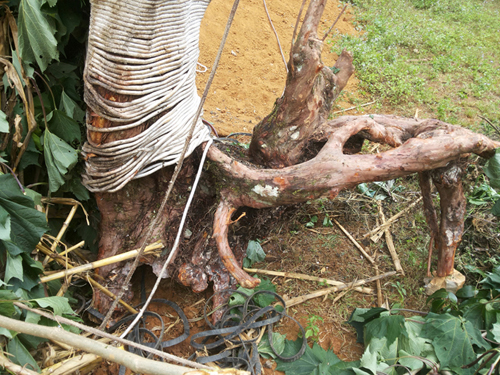 20131003_145633.jpg