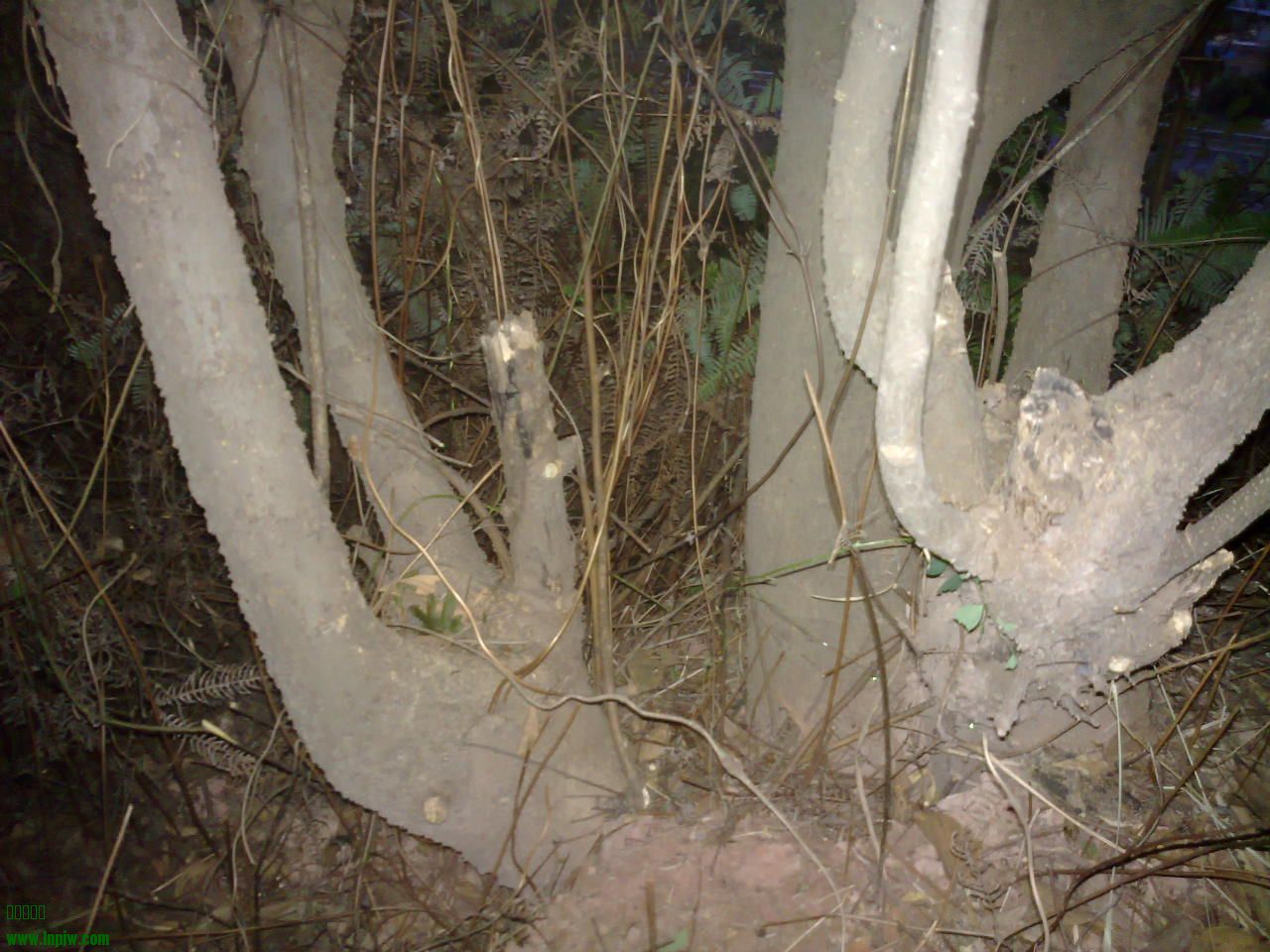 201310041233.jpg