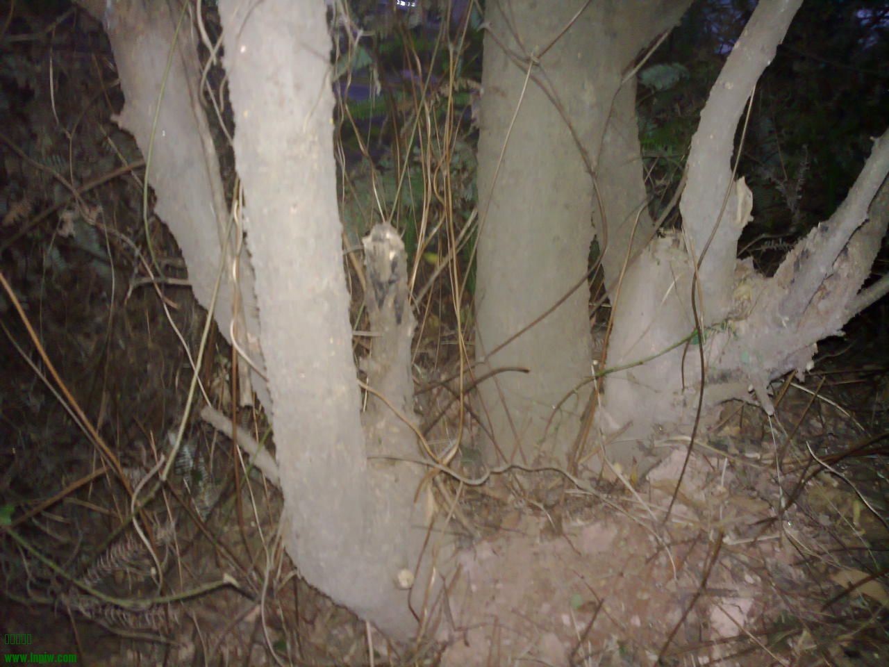 201310041234.jpg