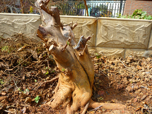 P1020931__.jpg