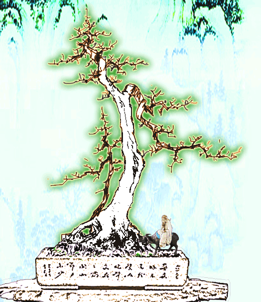 5.gif