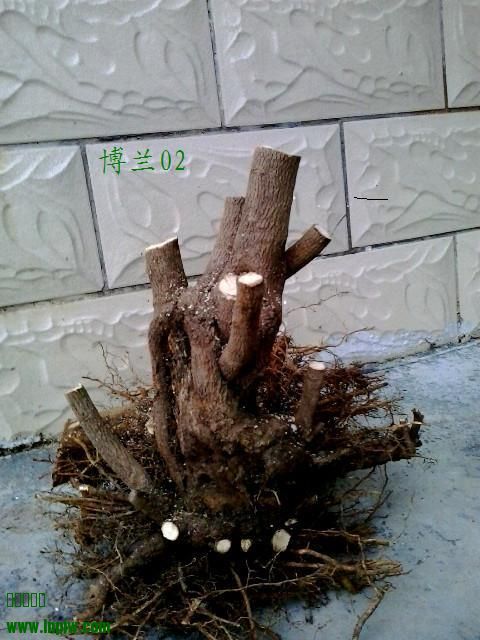20130921_183555_.jpg