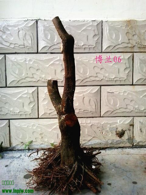 20131002_084413_.jpg
