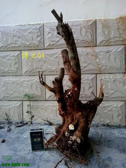 20131004_100818_.jpg