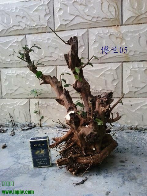 20131004_100942_.jpg