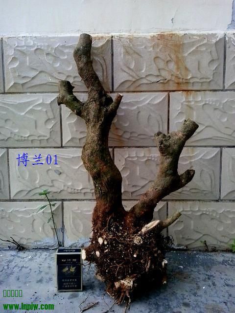 20131004_101146_.jpg