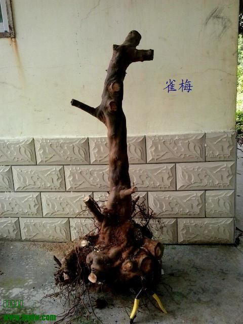 20131004_102330_.jpg