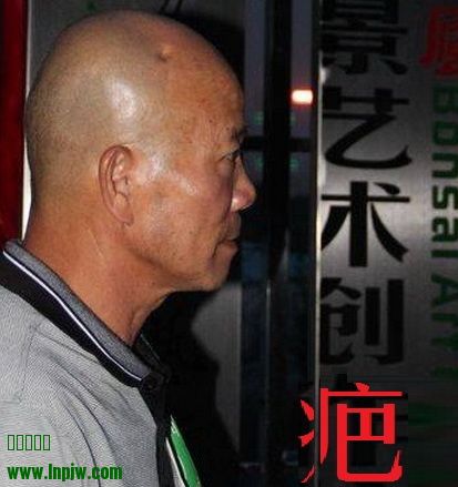 ޱ.jpg