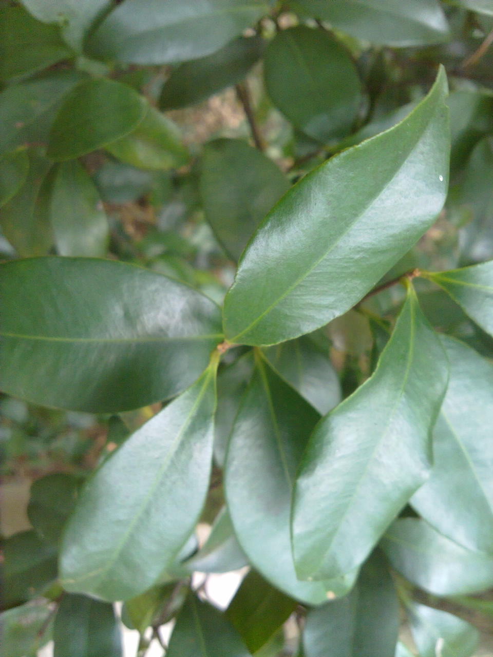 201310071246.jpg