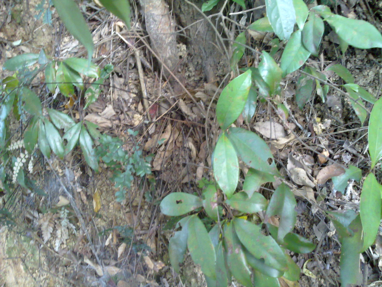 201310071247.jpg