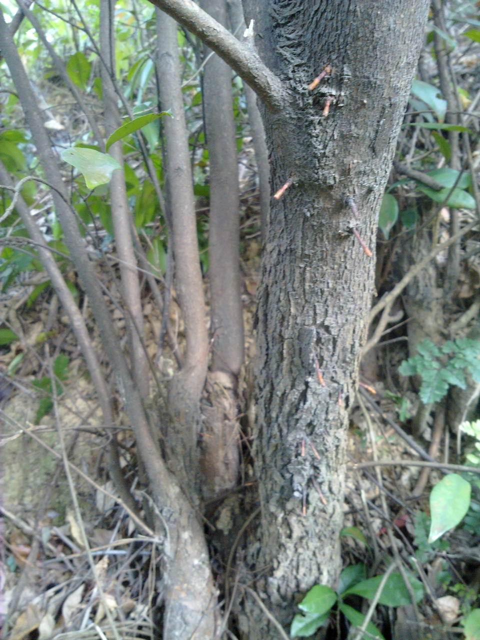 201310071248.jpg