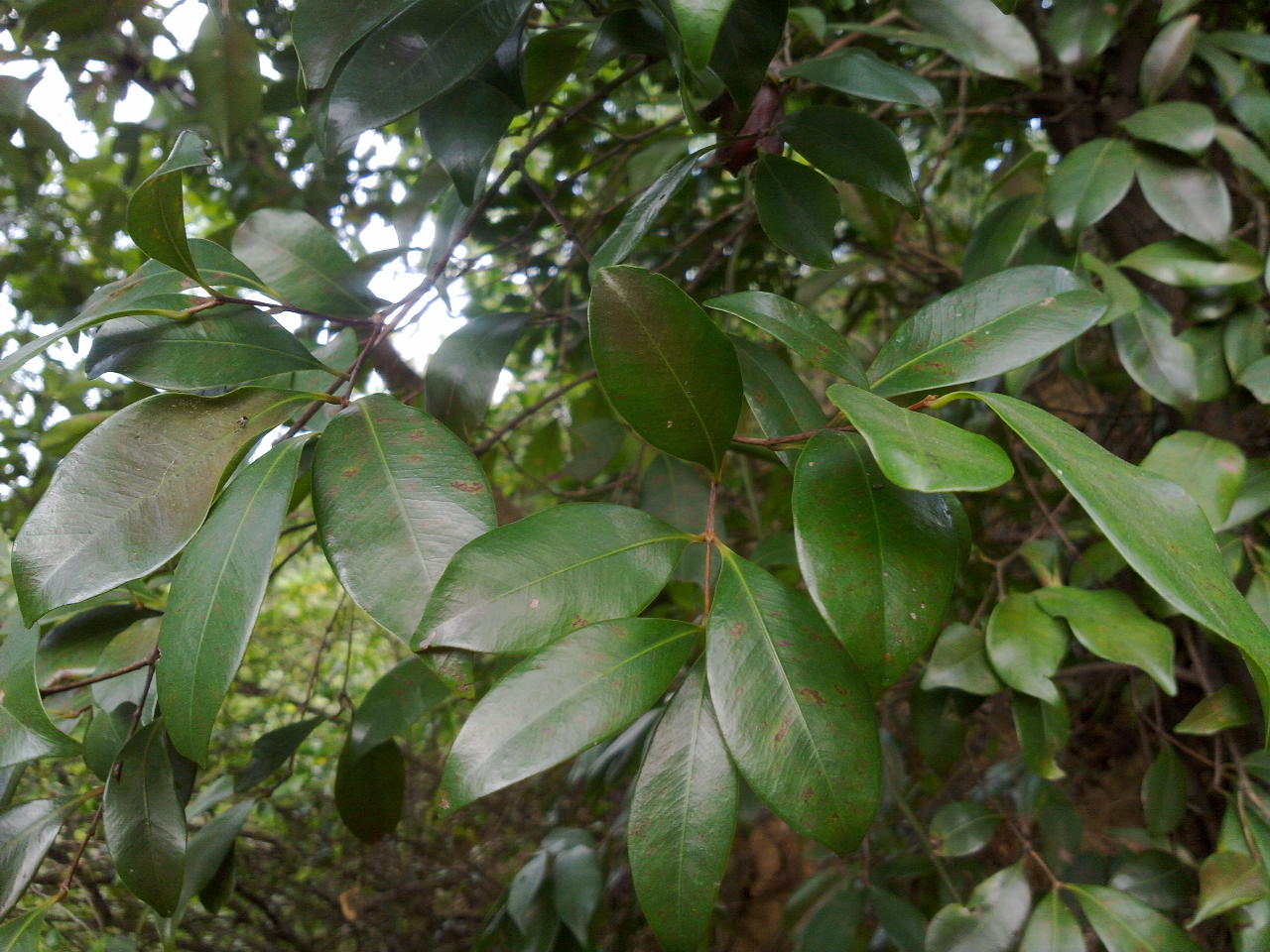 201310071249.jpg