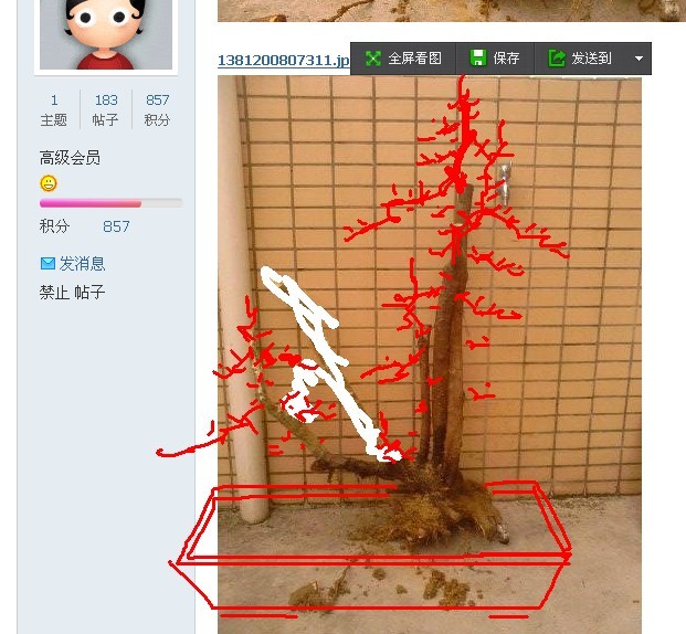 QQͼƬ20131009011735.jpg