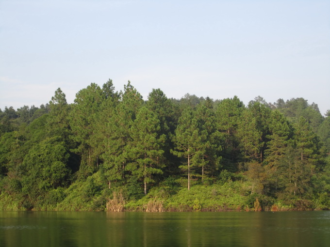 IMG_7714_С.jpg