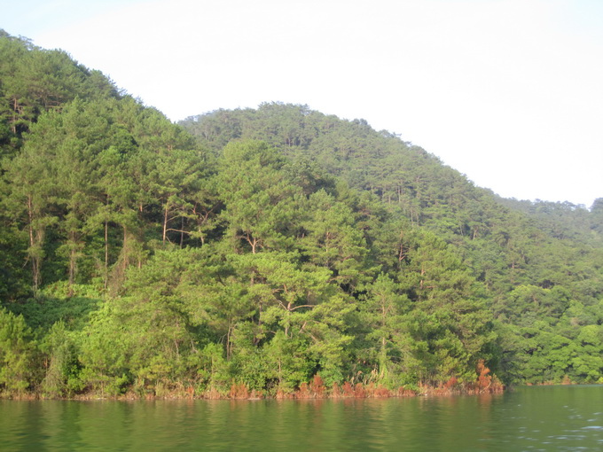 IMG_7736_С.jpg