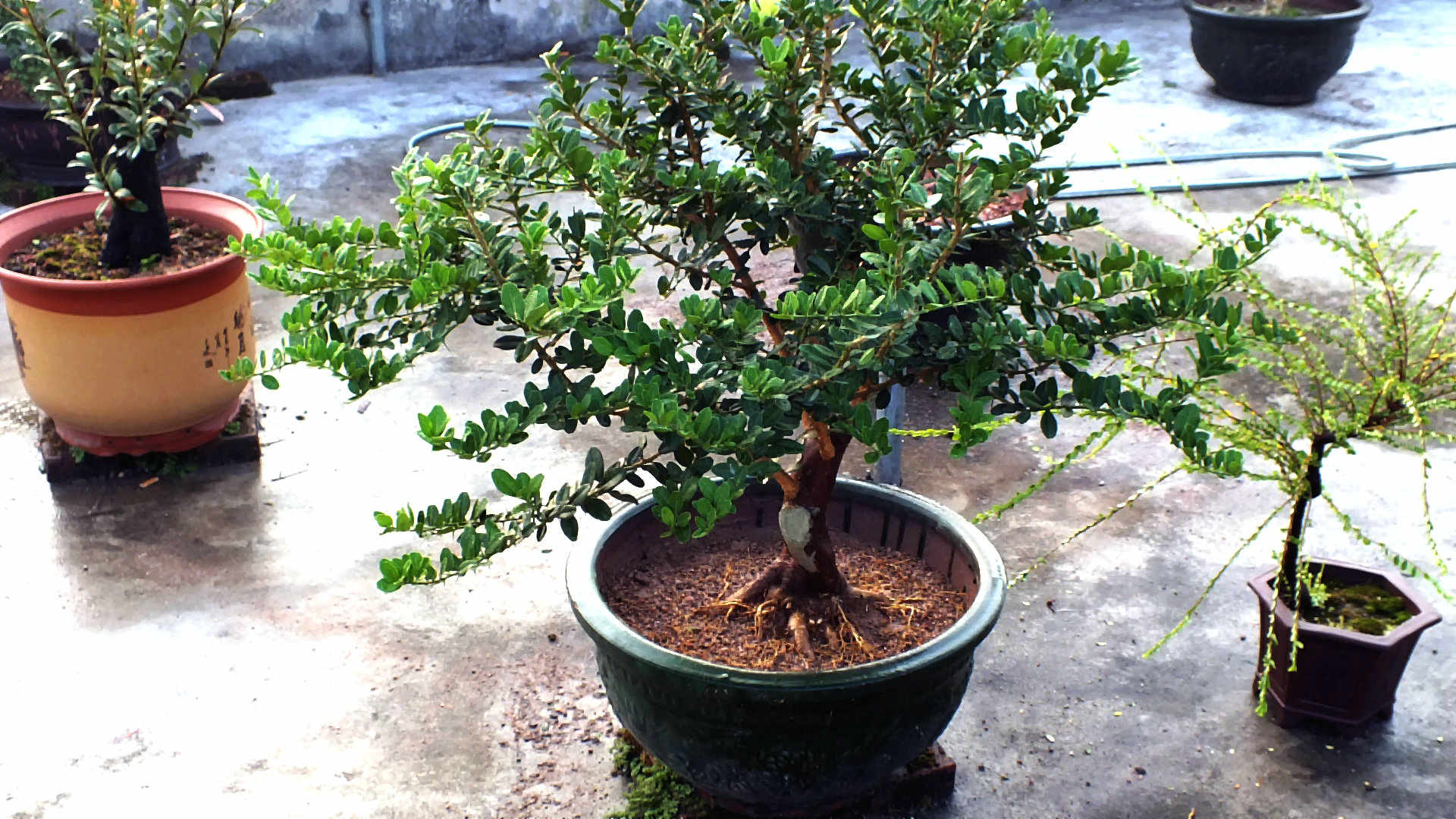Ƭ 003.jpg