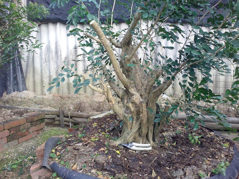 IMG20131010001.jpg