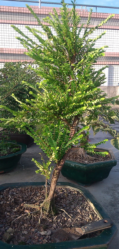 IMG_20130906_175827.jpg