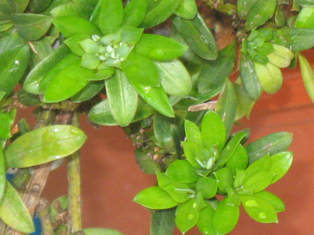 IMG_6648.JPG