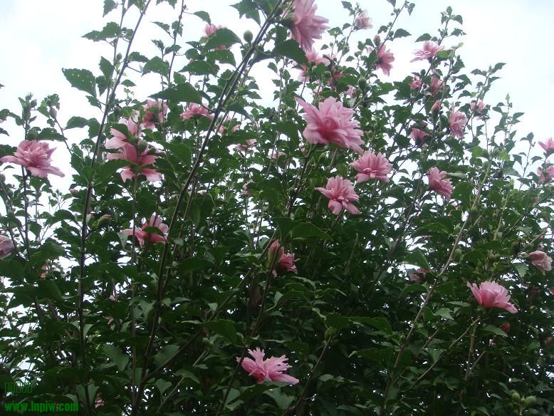 DSC05424.JPG