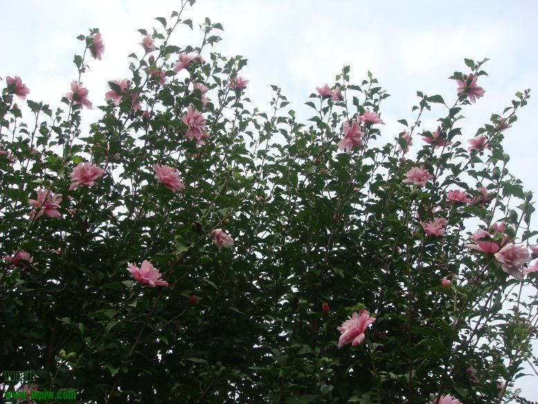 DSC05425.JPG