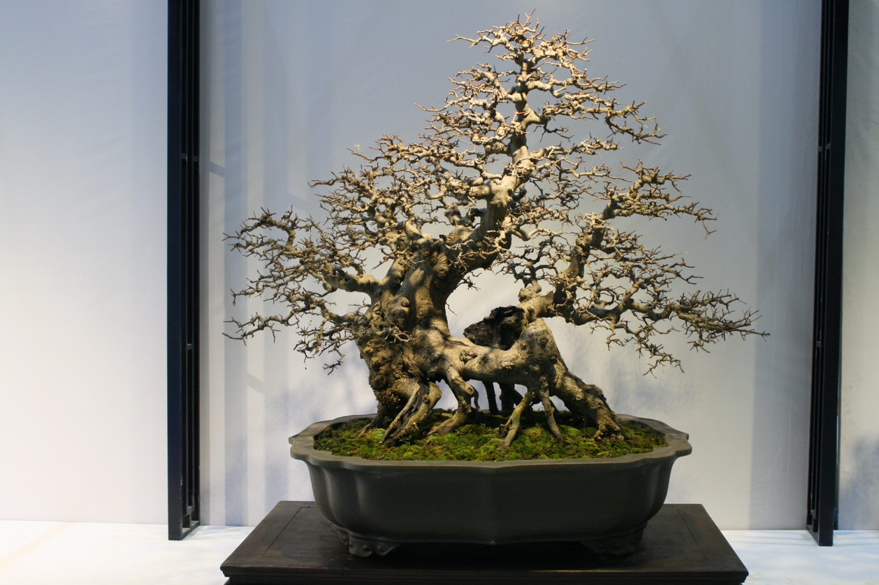 SBQ_20130929_0952.JPG