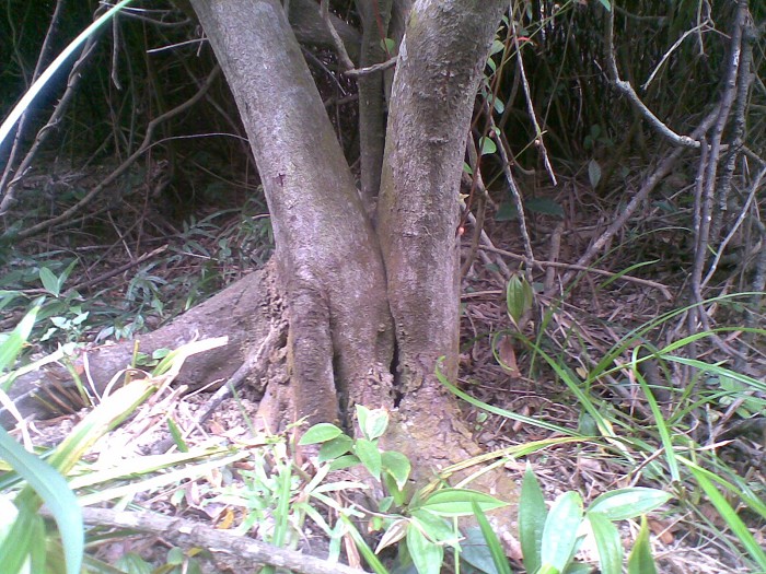 20131010(014)ͼ.jpg