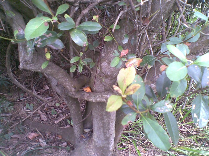 20131010(015)ͼ.jpg