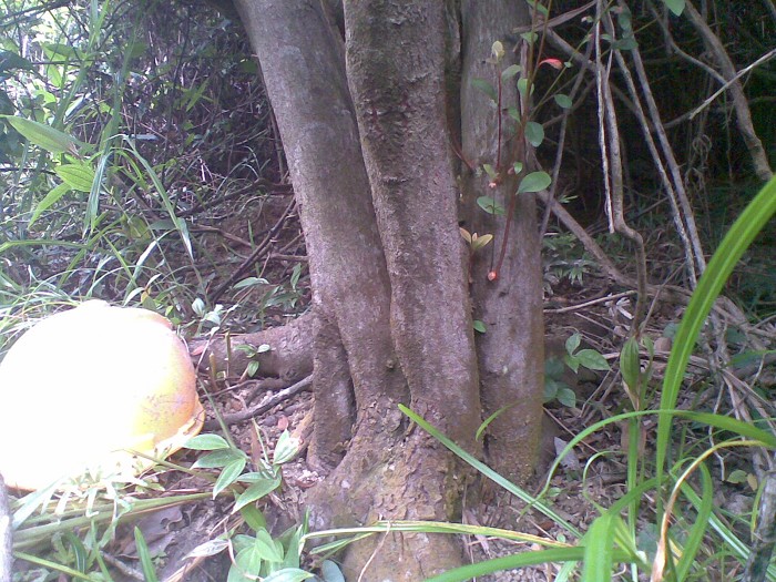 20131010(016)ͼ.jpg