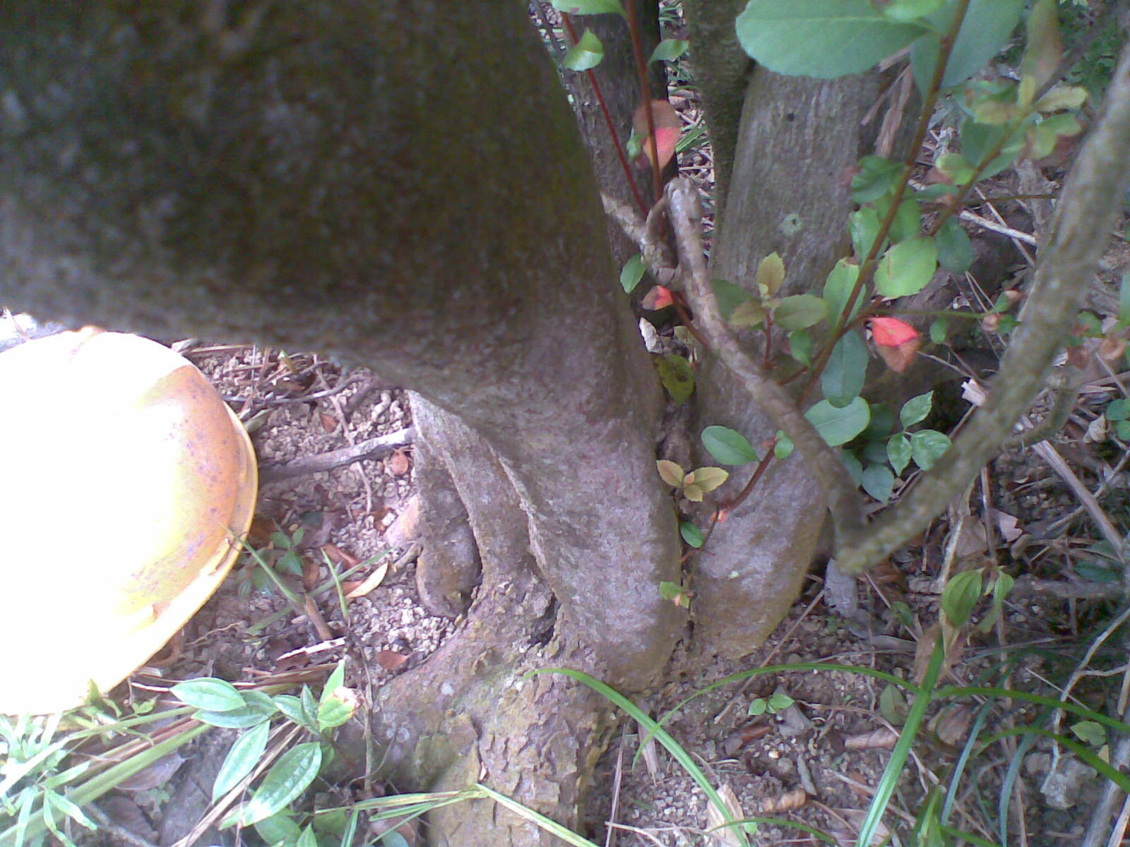 20131010(017).jpg