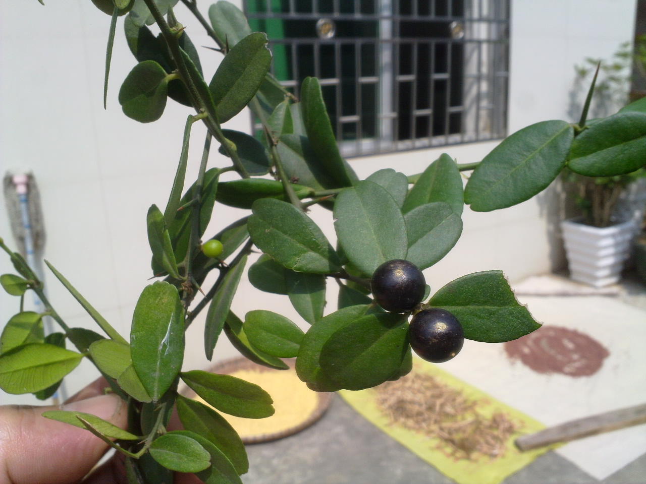 201310111252.jpg