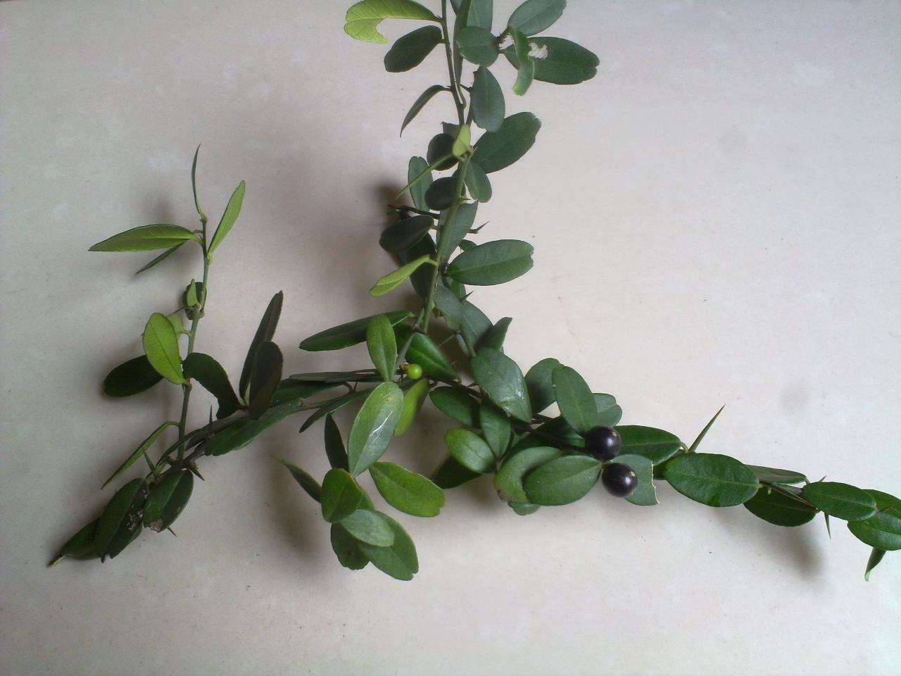 201310111254.jpg