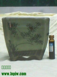 IMG0192A.jpg