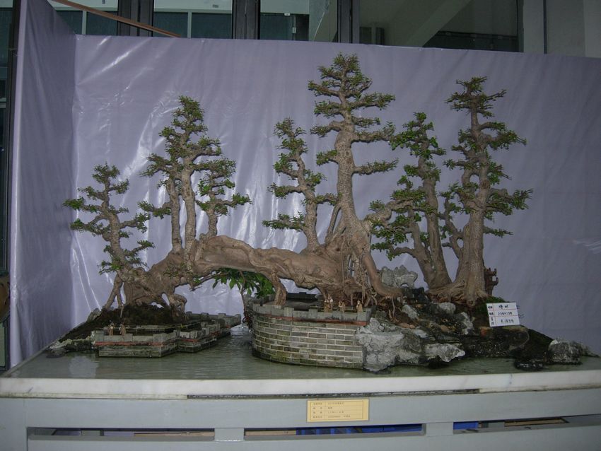 DSCN0460.JPG