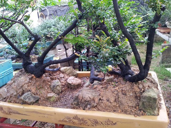 20131012_171949.jpg