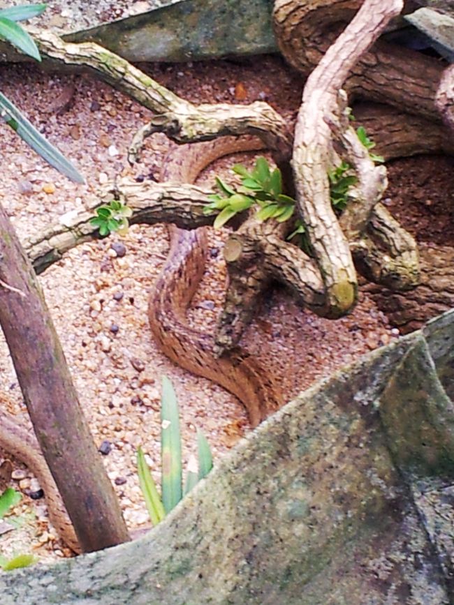 20131015_151452.jpg