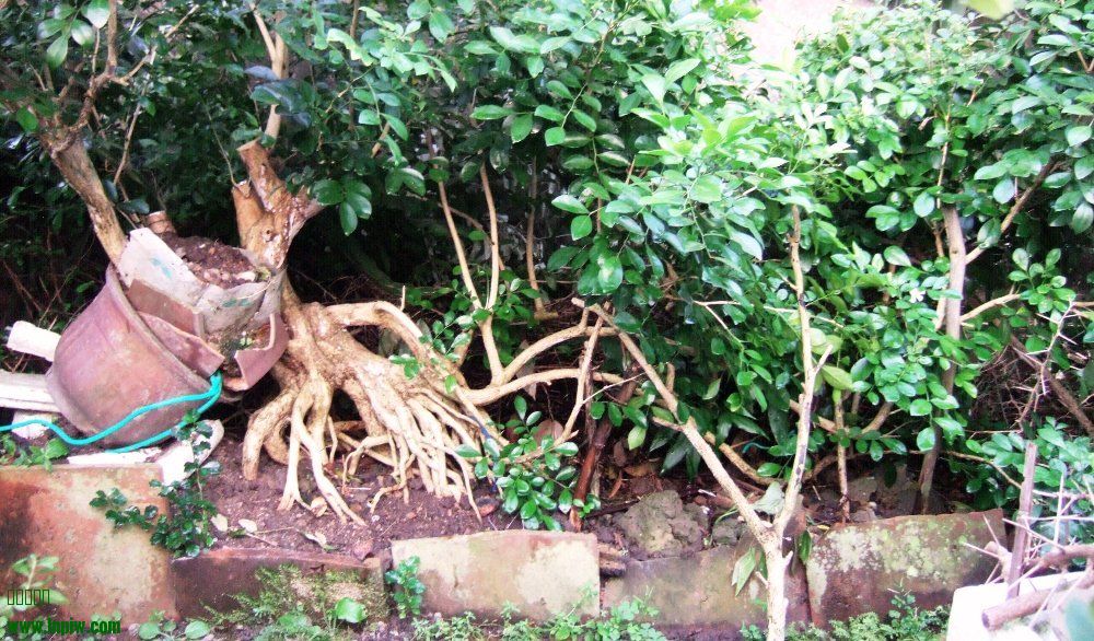 DSCF4364.JPG