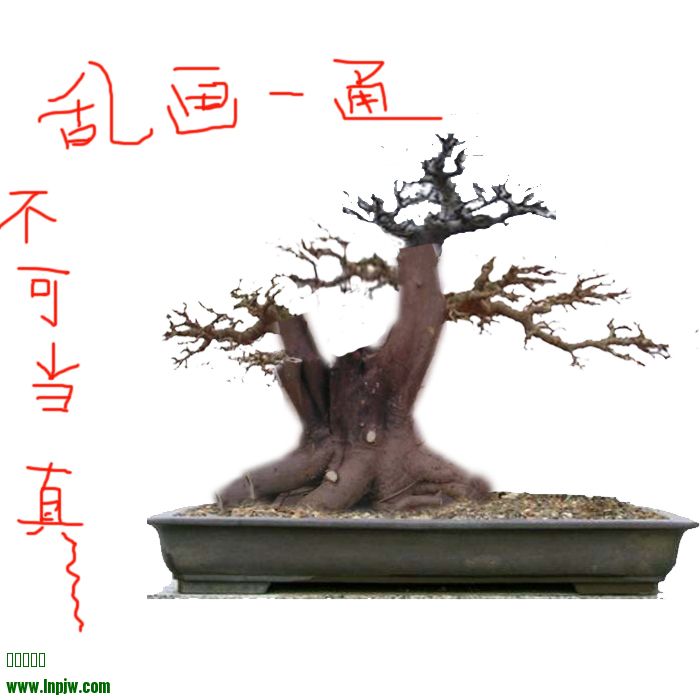 ɽʮ.jpg