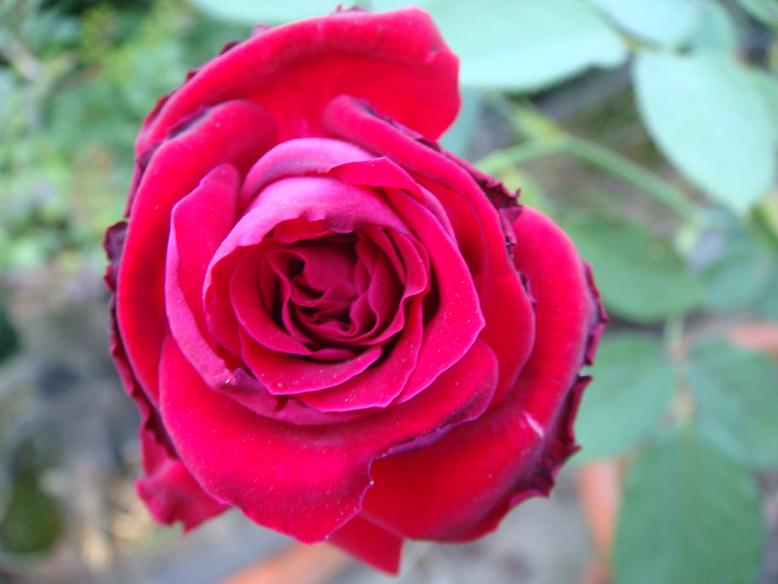 DSC05216.JPG